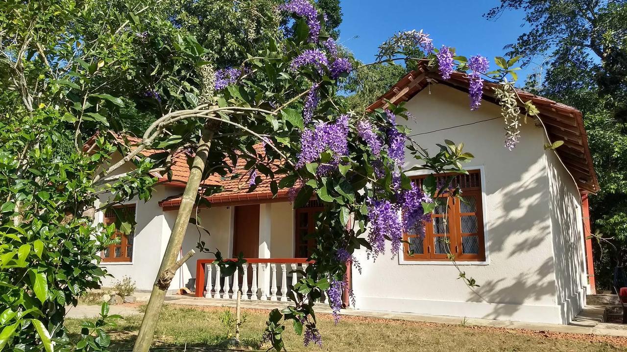 The Pepper Cottage Gomagoda Экстерьер фото